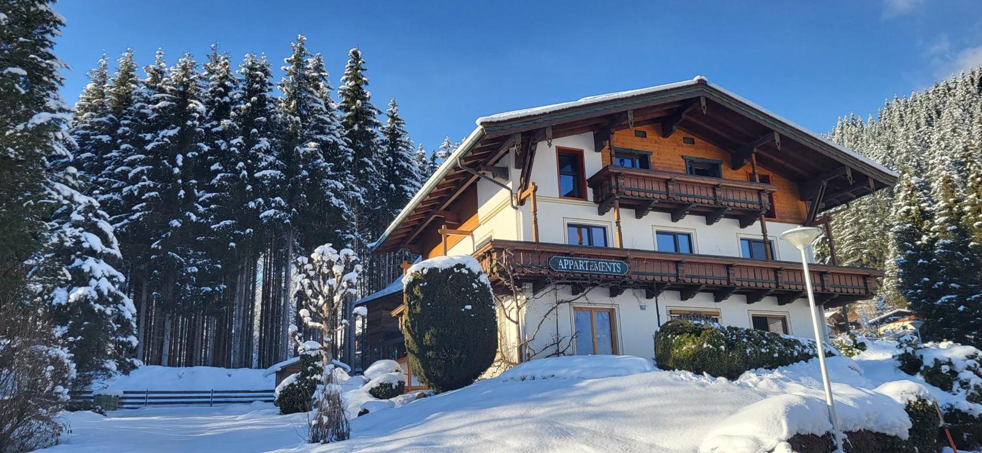 Am Waldrand 252 Apartment Neukirchen am Grossvenediger Exterior photo
